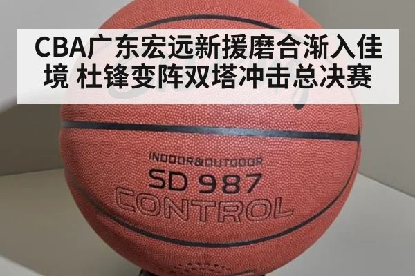 CBA广东宏远新援磨合渐入佳境 杜锋变阵双塔冲击总决赛